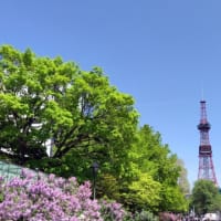 2025年6月のおしらせ