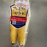 子ネコの哺育に心配が募る。