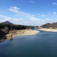 長良川の散歩で出会ったのは‥