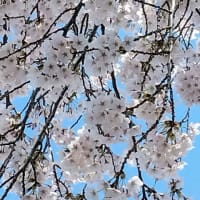 ４連休も終えました