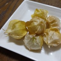 本格的な暑さが来た