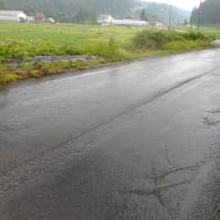 雷雨