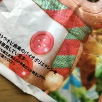 ディズニーランドのプラスチックバック