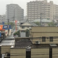 すごい雨でした～