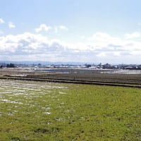 嵯峨野　早春sketch