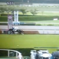 ロードレジェロ　３歳未勝利　　芝１８００　優勝！！