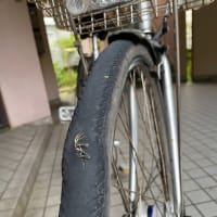 2025/07/12　バースト寸前