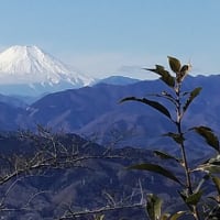 高尾山