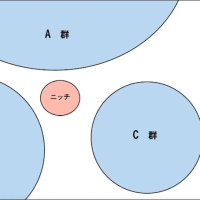 業界主導の産業社会型資本主義時代の終わり　～書店の未来を真剣に考えてみた　②　～