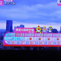 6/14 お天気