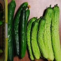 「馬込半白」が主流だった