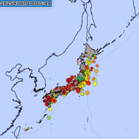 今年の「びわ」は例年以上にみずみずしい。〜「弱者」が潤ってまいりました。下剋上です！〜という空想です、笑