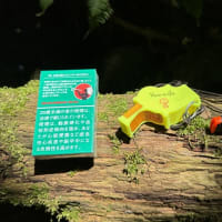 サバイバルホイッスル対決！・・・持ち歩きたいサバイバルホイッスル