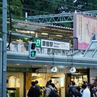 JY19 山手線立ち呑み事情　ななつぼ＠原宿