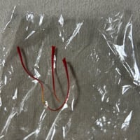 今年の展示は終了しました‥と思いきや〜❗️