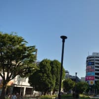 今日の博多３３７　【トランプ支持割れる】
