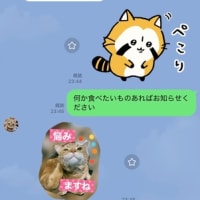 食洗器壊れたり　などなど