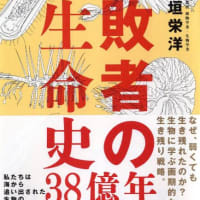 捏造の世界