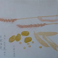 自然農　川口由一さんの三回忌　2025年6月9日