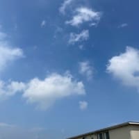 ７/１０（木）ユウガオの雌花　&　ローゼル・ジュエルお試し追加定植他　&　じゃがいも収穫など