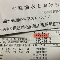 いやいやいや…ないないない…