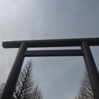 靖国神社の桜