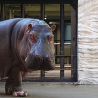 上野動物園の・・