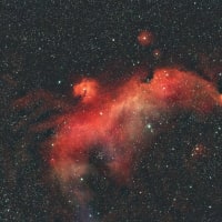 sh2-296（IC 2177） 散光星雲・かもめ星雲