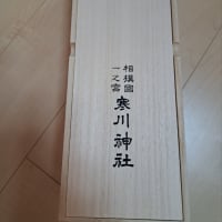 大人の遠足🚞
