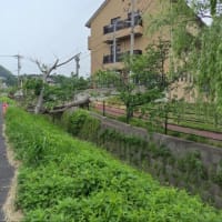 もろもろ