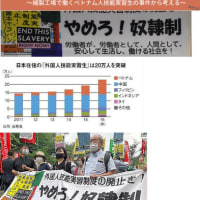 楊海英氏を冒涜するザパニーズは、間違いなくニート藁