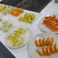 おすすめ全体会の「中晩柑学習会」のご報告です。