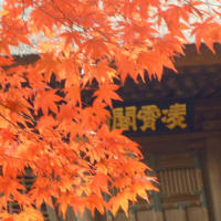 埼玉県新座市平林寺