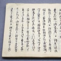 大河ドラマ「べらぼう」…１１代将軍家斉誕生