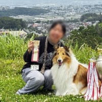梅雨入り