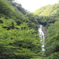 ―（バスツアー）で蒜山高原＆神庭の滝―