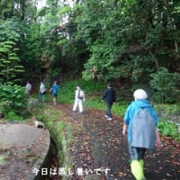 サタデーウォーク「九大学研都市から今宿界隈散策」（福岡市西区）