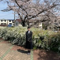 桜と入学式