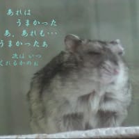 「よい思い出話のほうがほとんどです」って？