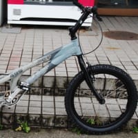 恐るべし、１９×２．５インチ
