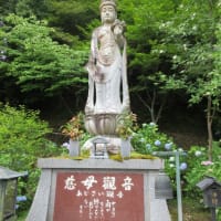 関西花の寺２５ゕ寺　第5日目　まずは　第1番札所　観音寺