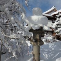 いつもと違う