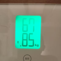 15日目の数値