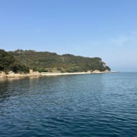 納得のサイズ
