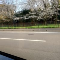 我が家は、みんな4月生まれなのにゃん😺💞