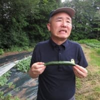 「キュウリを作りました！」　那須共育学園
