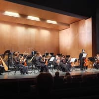 The Red Violin Suite