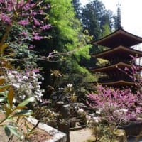 奈良　修行の旅