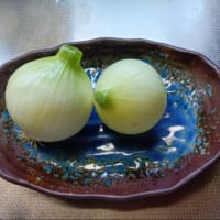 摘果に明け暮れる日々