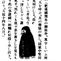 アマビエ　か？　アマビコ　か？　　昔日叢書「長崎怪異書簡之写」